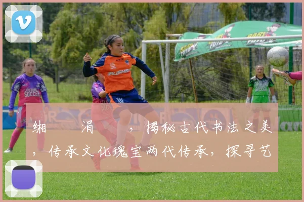 缃戜笂涓栧崥，揭秘古代书法之美，传承文化瑰宝两代传承，探寻艺术魅力