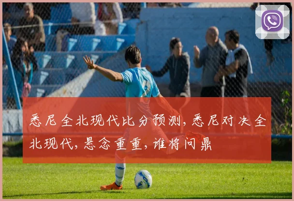 悉尼全北现代比分预测,悉尼对决全北现代,悬念重重,谁将问鼎