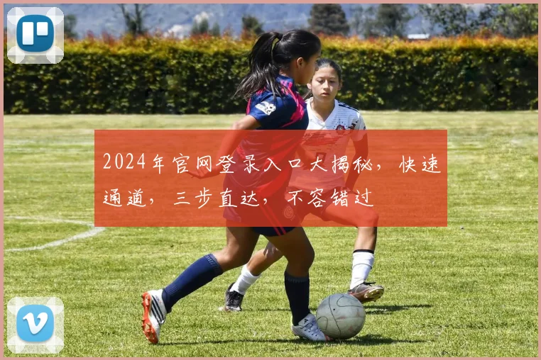 2024年官网登录入口大揭秘，快速通道，三步直达，不容错过