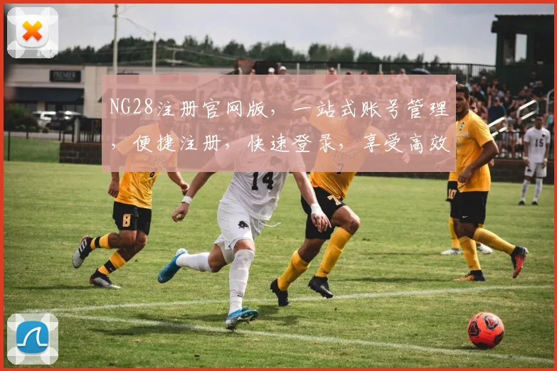 NG28注册官网版，一站式账号管理，便捷注册，快速登录，享受高效体验