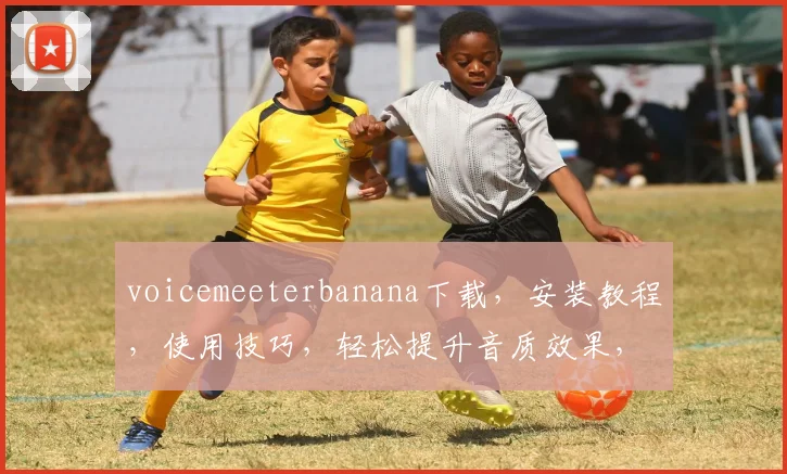voicemeeterbanana下载，安装教程，使用技巧，轻松提升音质效果，必看攻略