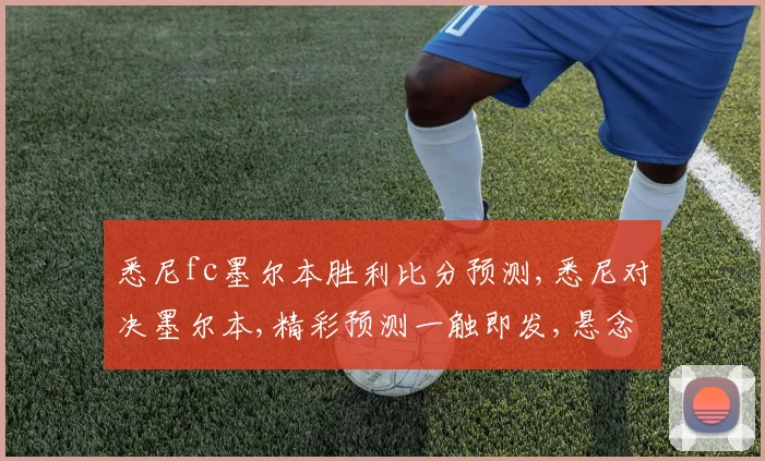悉尼fc墨尔本胜利比分预测,悉尼对决墨尔本,精彩预测一触即发,悬念重重